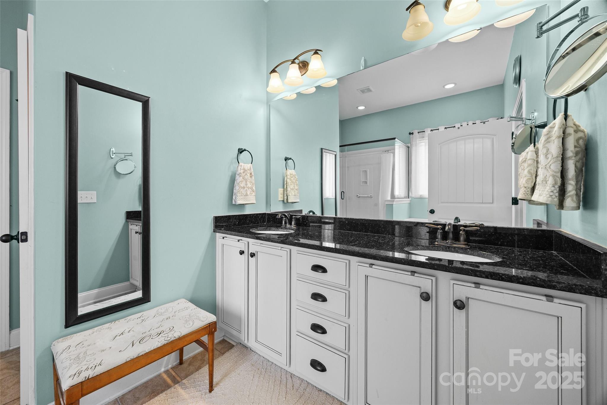 1617 Fig Branch Road Clover, SC 29710 - Photo 22 of 33 a bathroom with a granite countertop sink and a mirror