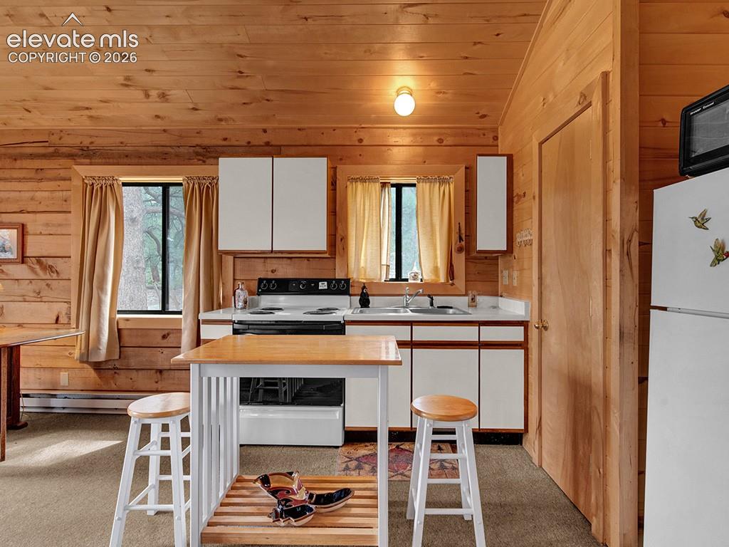 1462 Pulver Road Lake George, CO 80827 - Photo 10 of 25 Gallery Image 10