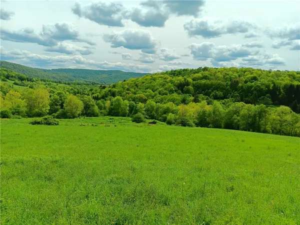 $600,000 | 785 Kiff Brook Road, Kortright, NY 13739