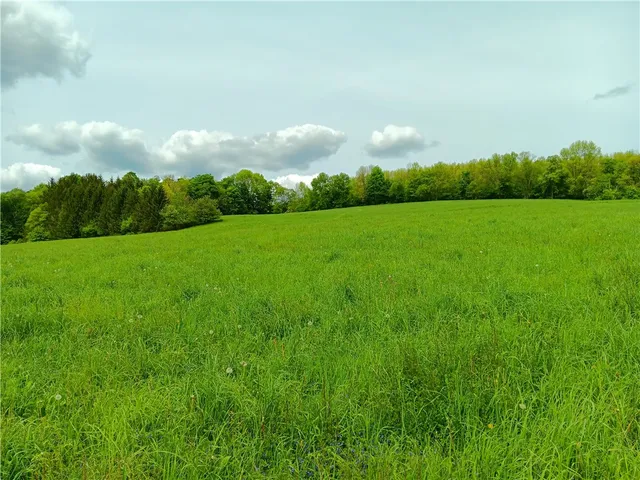 $600,000 | 785 Kiff Brook Road, Kortright, NY 13739