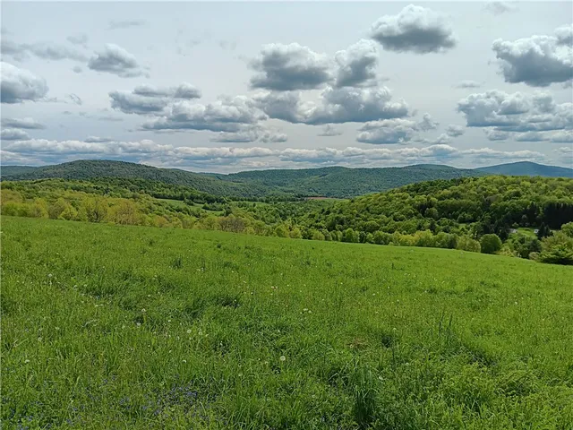 $600,000 | 785 Kiff Brook Road, Kortright, NY 13739