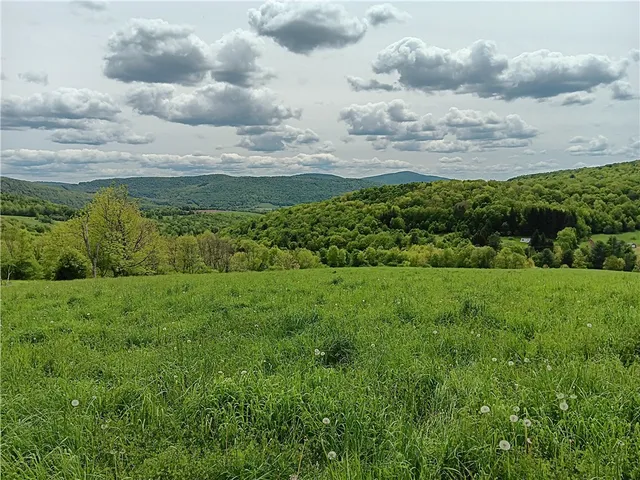 $600,000 | 785 Kiff Brook Road, Kortright, NY 13739