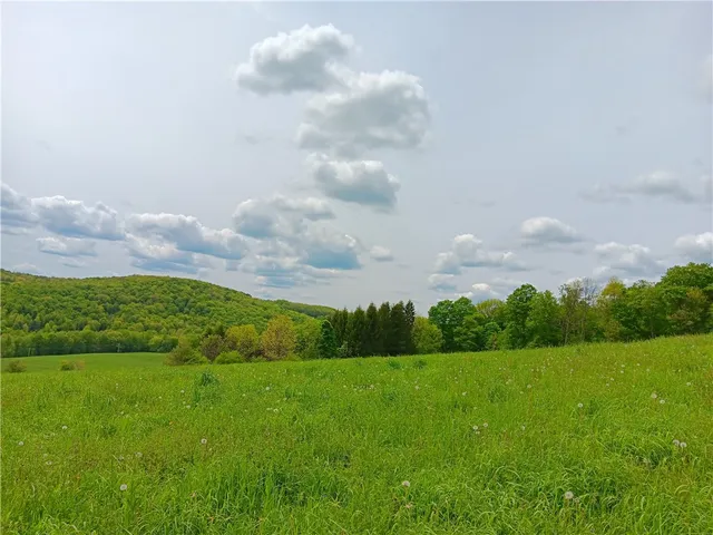 $600,000 | 785 Kiff Brook Road, Kortright, NY 13739