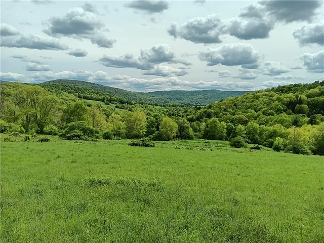 $600,000 | 785 Kiff Brook Road, Kortright, NY 13739