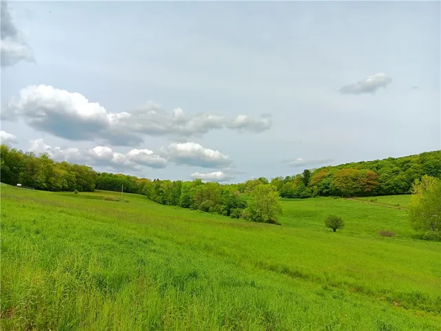 $600,000 | 785 Kiff Brook Road, Kortright, NY 13739