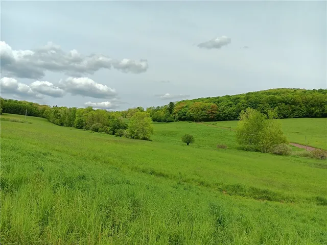 $600,000 | 785 Kiff Brook Road, Kortright, NY 13739