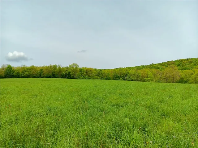 $600,000 | 785 Kiff Brook Road, Kortright, NY 13739