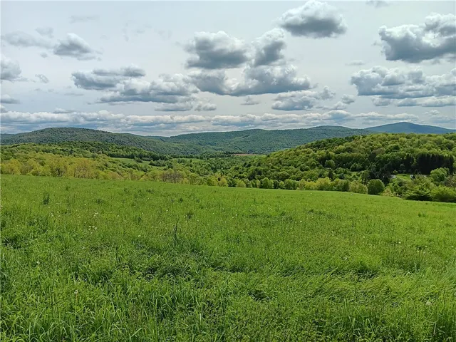 $600,000 | 785 Kiff Brook Road, Kortright, NY 13739