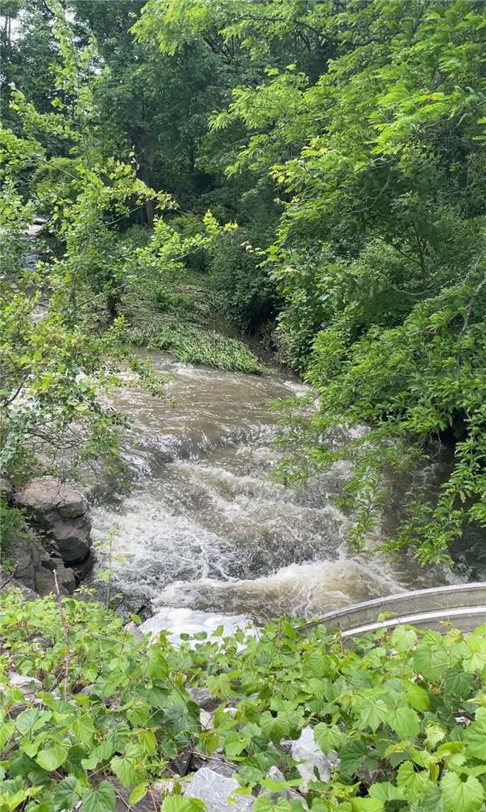 7991 Rock River Road Interlaken, NY 14847 - Photo 23 of 23 view of creek from west side of roadway overpass about 50' from end of driveway
