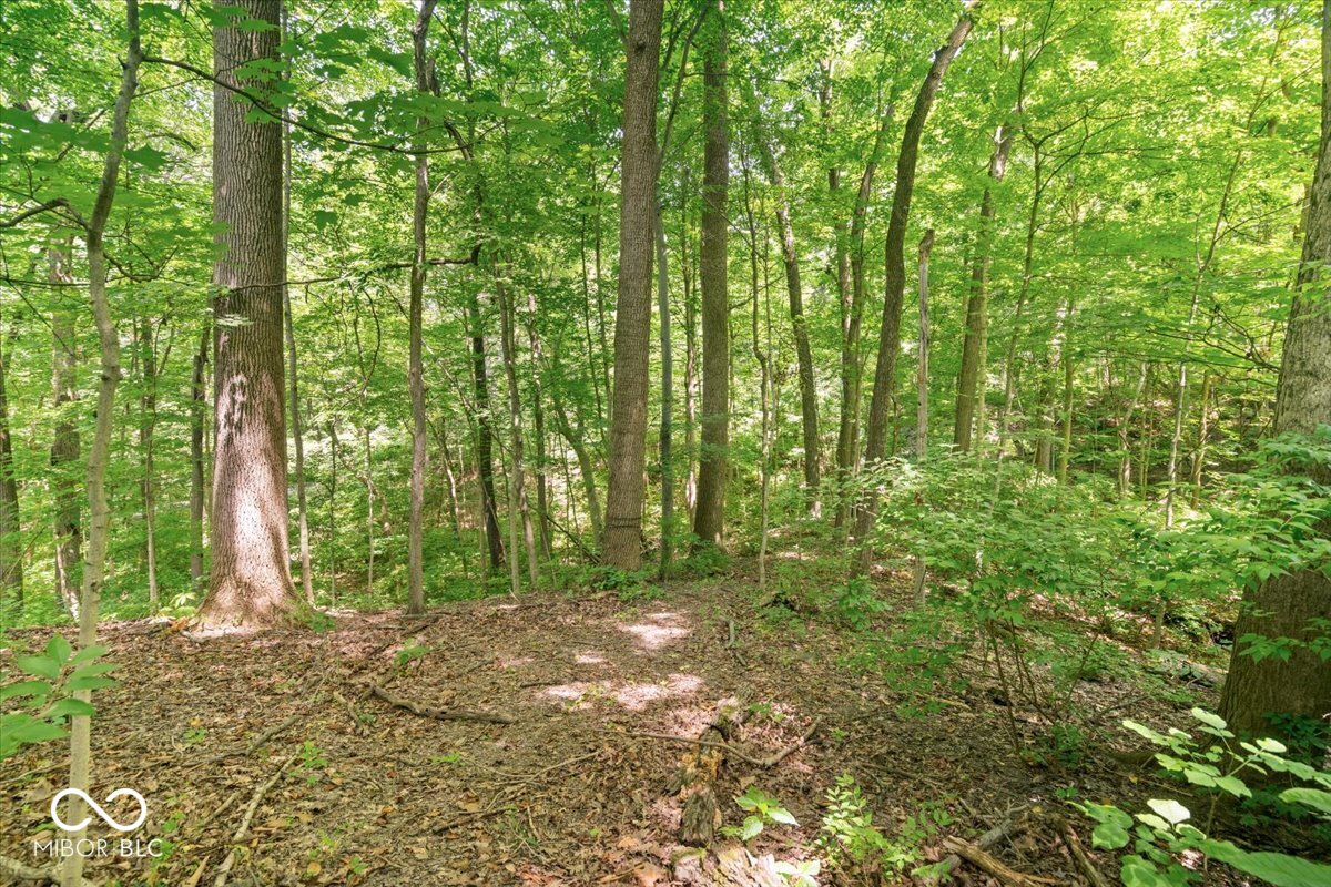 6470 Around The Hills Road Indianapolis, IN 46226 - Photo 41 of 59