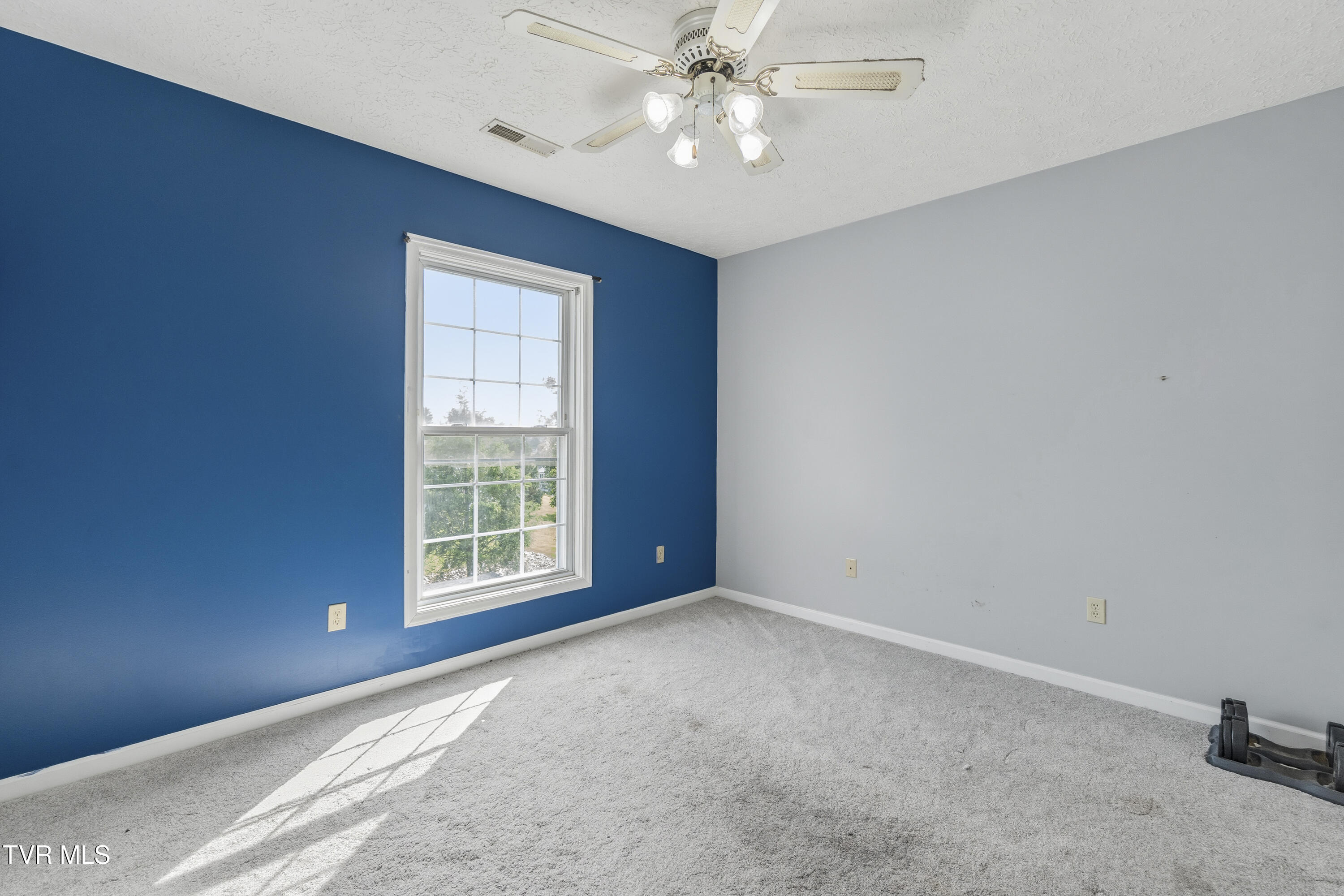 410 Appian Way Greeneville, TN 37745 - Photo 27 of 65 29
