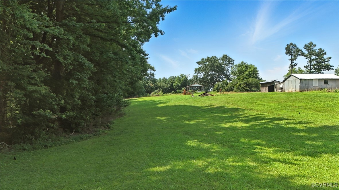 1822 Baughan Road Meherrin, VA 23954 - Photo 40 of 50 a view of a green field with a tree