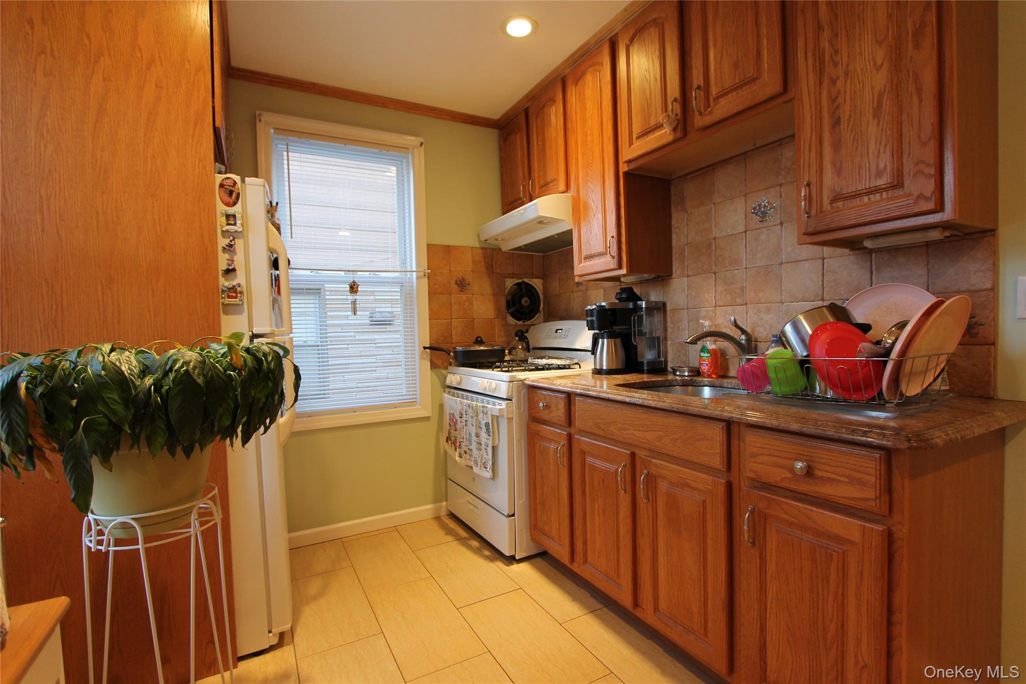 69-23 64th Place Queens, NY 11385 - Photo 6 of 18