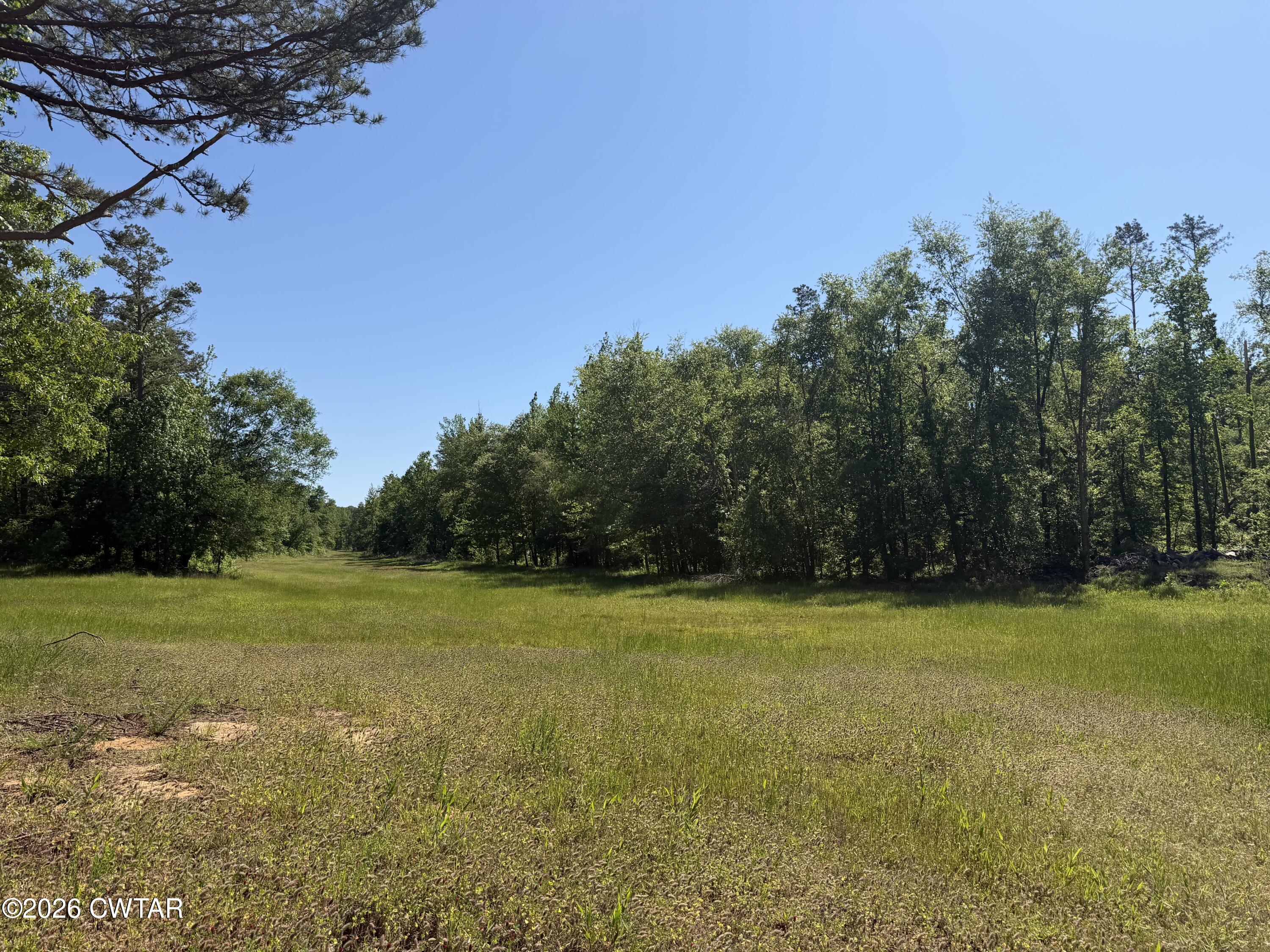 0 Authur Byrd Road Pocahontas, TN 38061 - Photo 2 of 14 a view of a tennis court