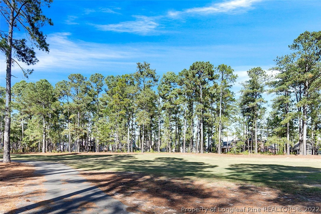 112 Fontana Lake Road Aberdeen, NC 28315 - Photo 5 of 12 a view of a yard