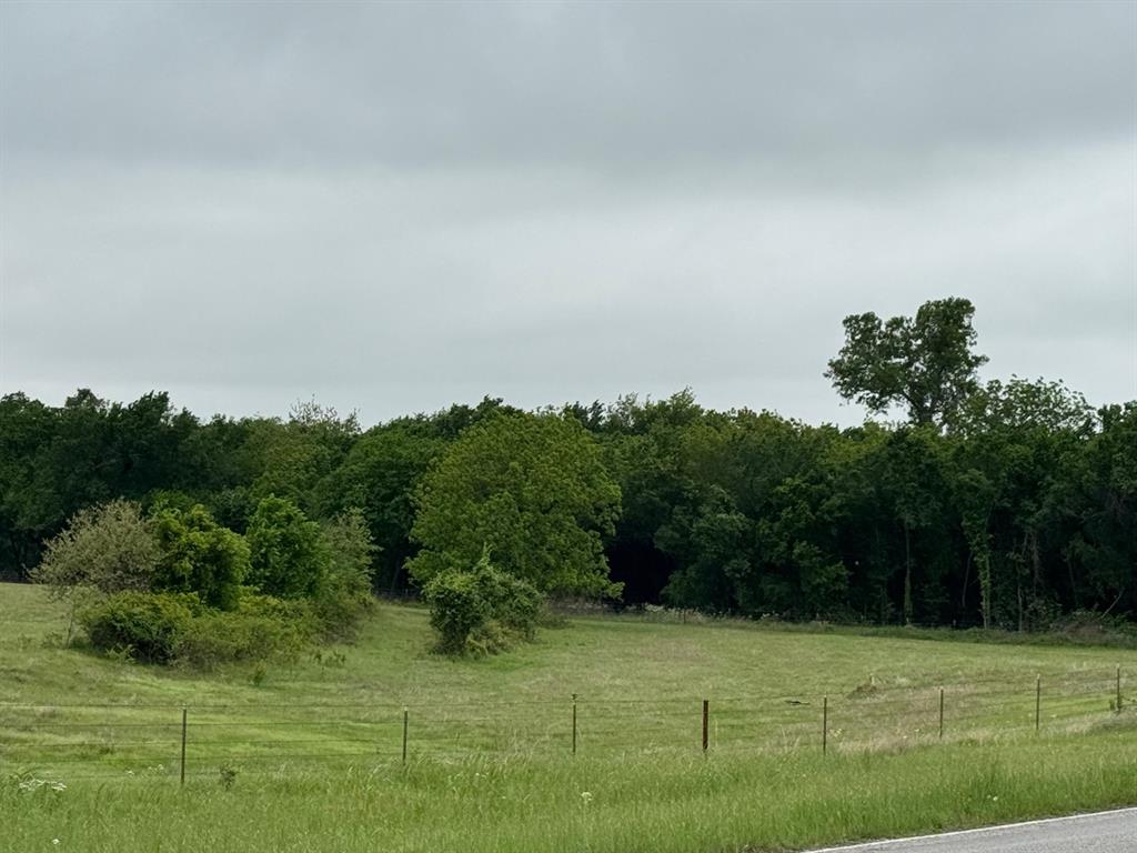 599 Lone Star Road Poolville, TX 76487 - Photo 13 of 29