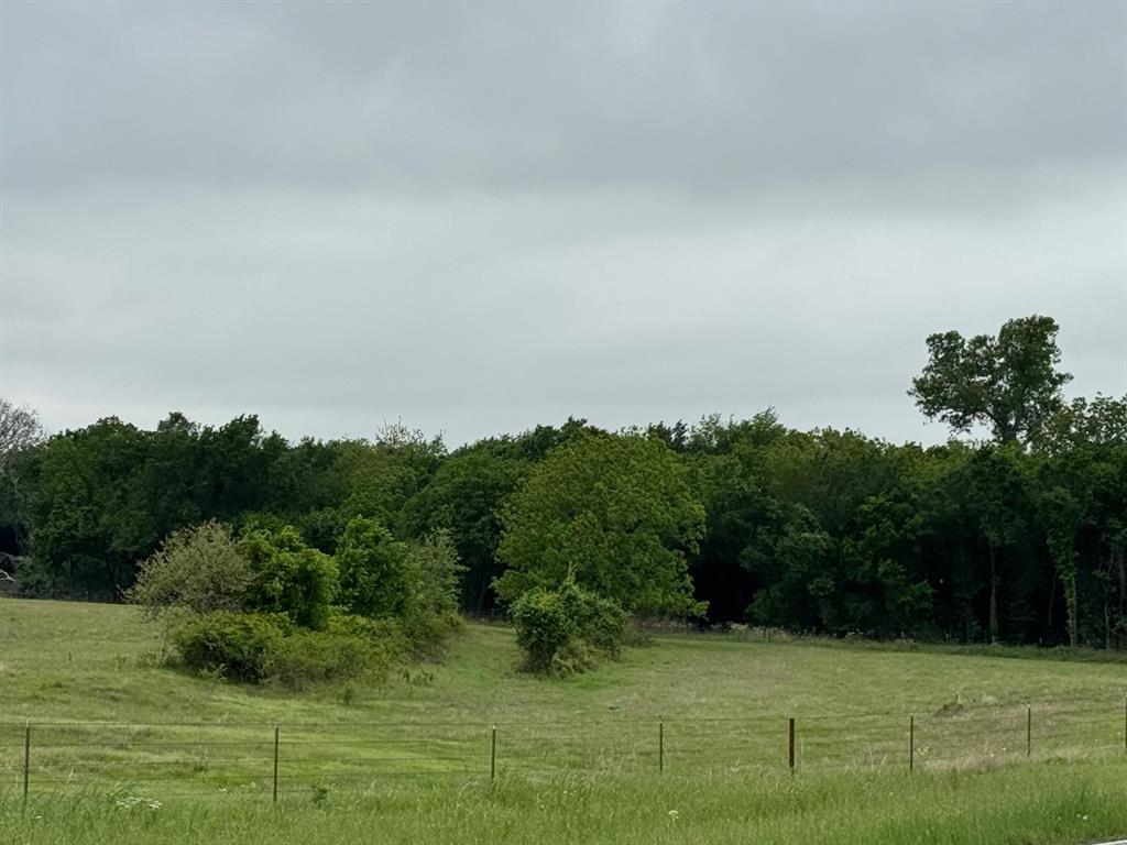 599 Lone Star Road Poolville, TX 76487 - Photo 14 of 29