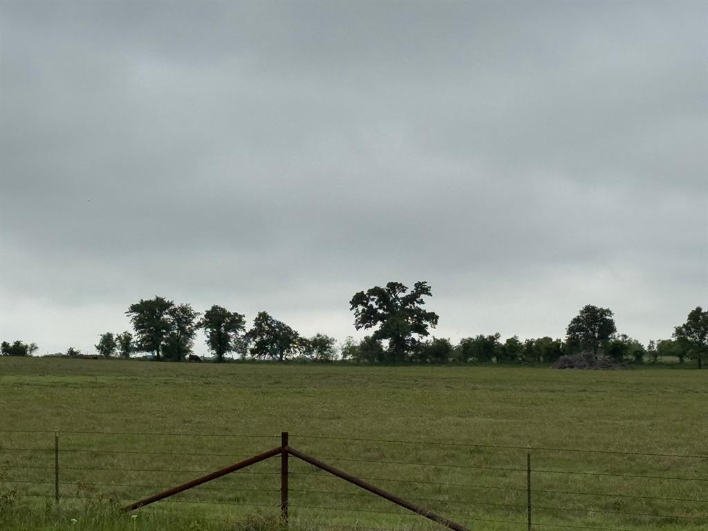 599 Lone Star Road Poolville, TX 76487 - Photo 16 of 29