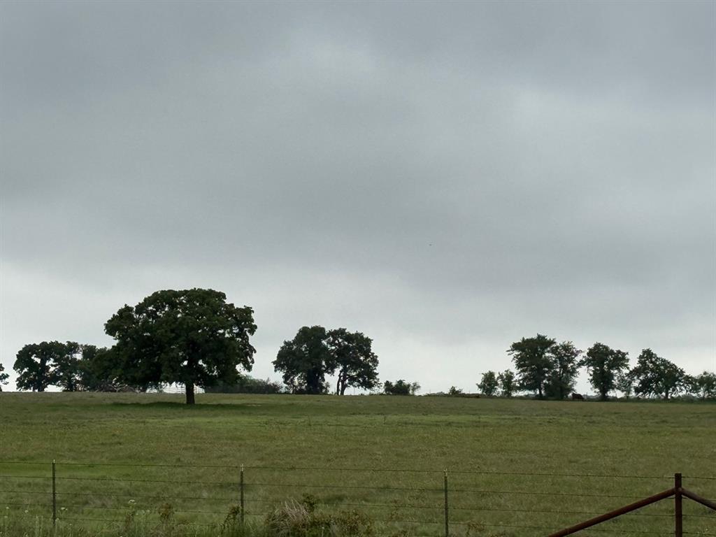 599 Lone Star Road Poolville, TX 76487 - Photo 17 of 29