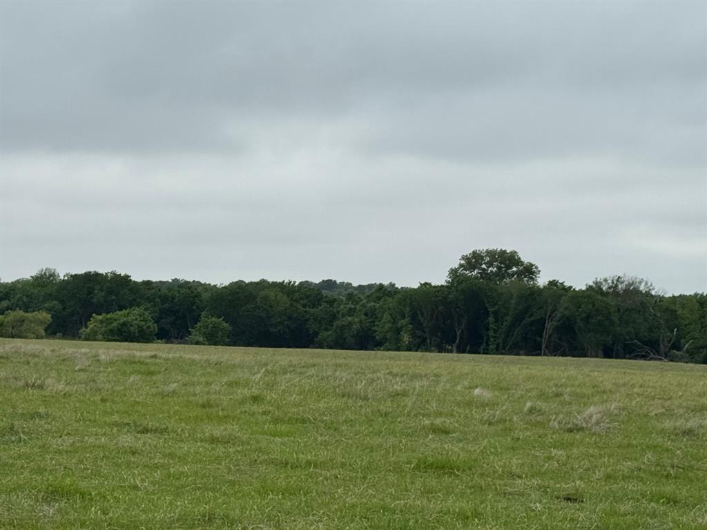 599 Lone Star Road Poolville, TX 76487 - Photo 2 of 29