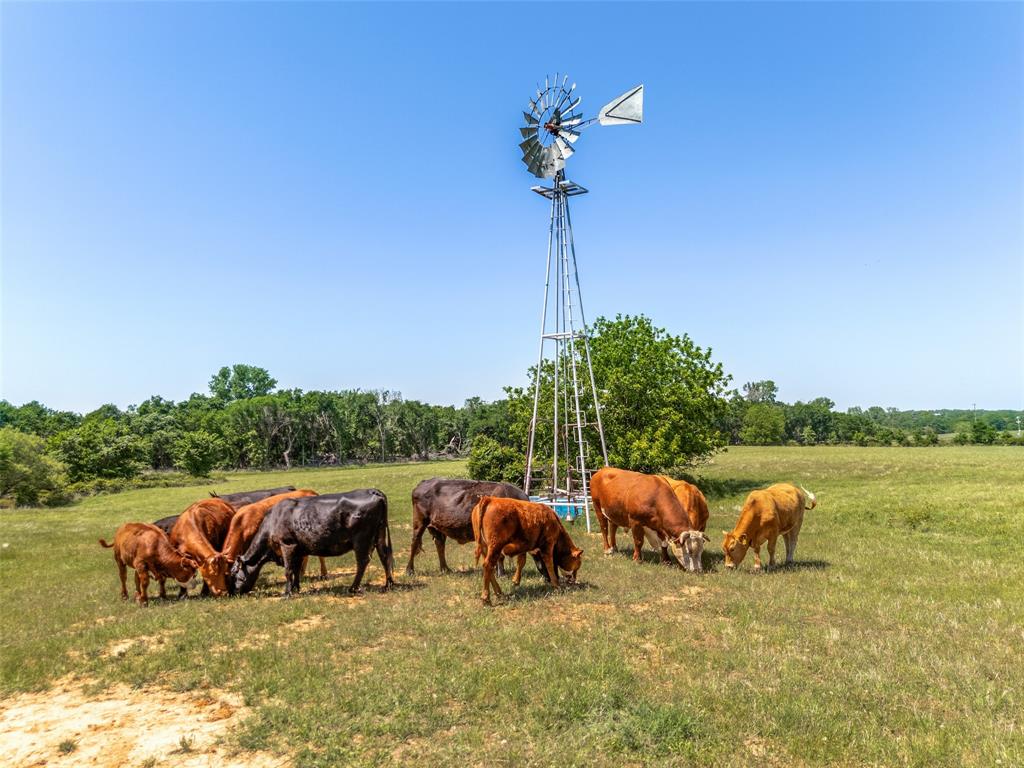 599 Lone Star Road Poolville, TX 76487 - Photo 27 of 29