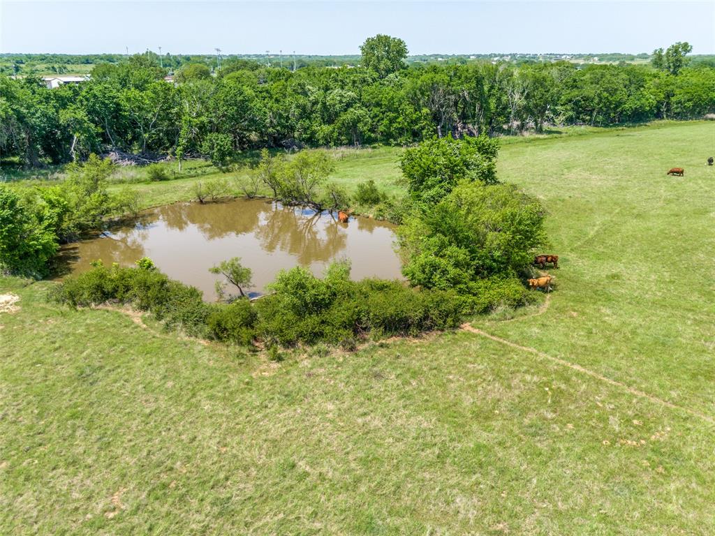 599 Lone Star Road Poolville, TX 76487 - Photo 28 of 29