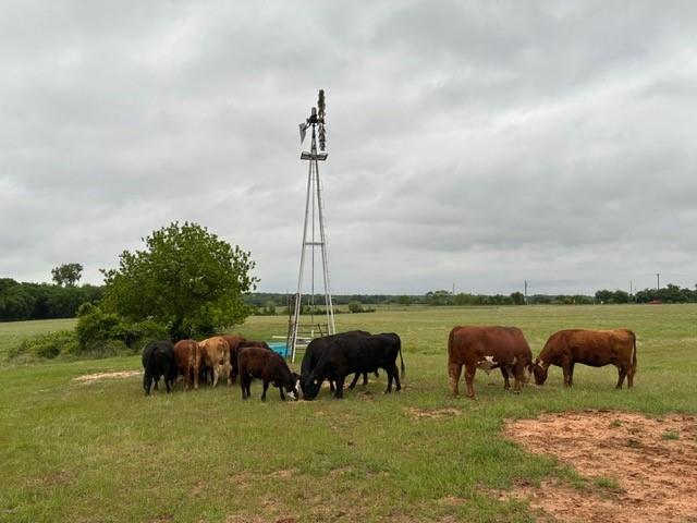 599 Lone Star Road Poolville, TX 76487 - Photo 3 of 29