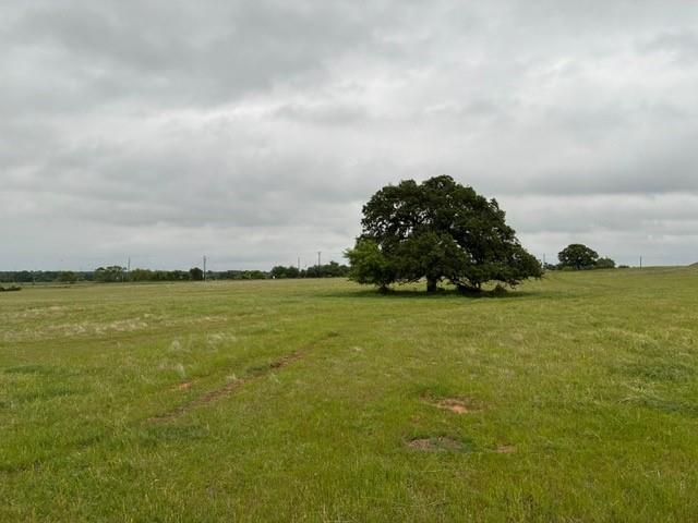599 Lone Star Road Poolville, TX 76487 - Photo 5 of 29