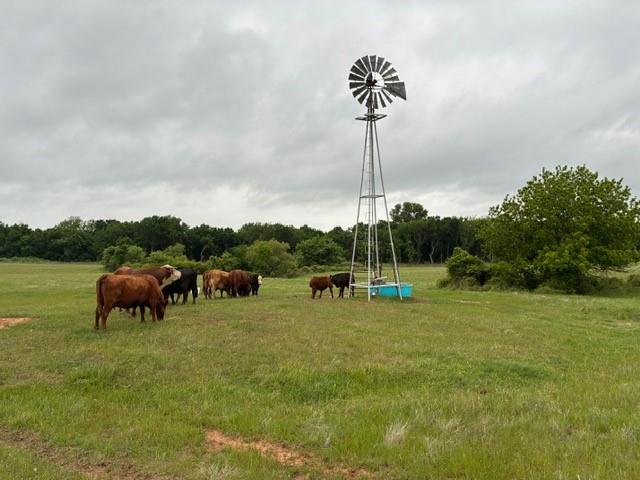 599 Lone Star Road Poolville, TX 76487 - Photo 6 of 29
