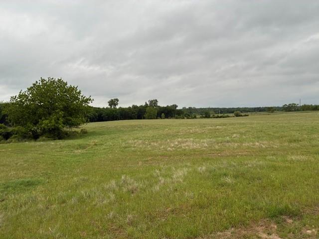 599 Lone Star Road Poolville, TX 76487 - Photo 7 of 29