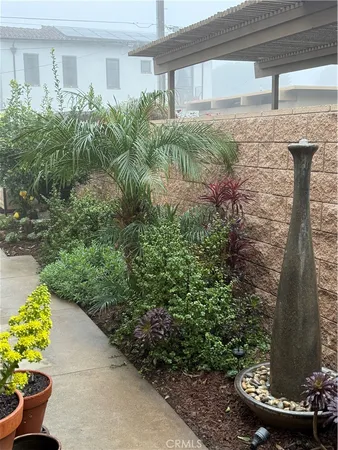 a view of a backyard with plants and a fountain