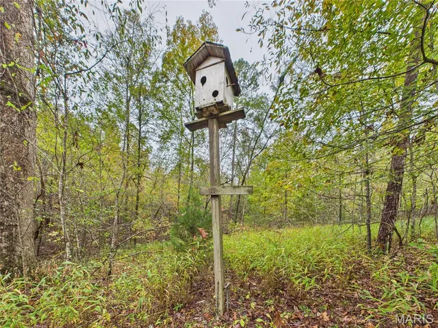 $150,000 | 1205 Cemetery Lane, Williamsville, MO 63967