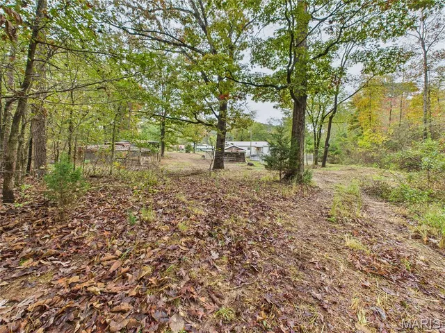 $150,000 | 1205 Cemetery Lane, Williamsville, MO 63967