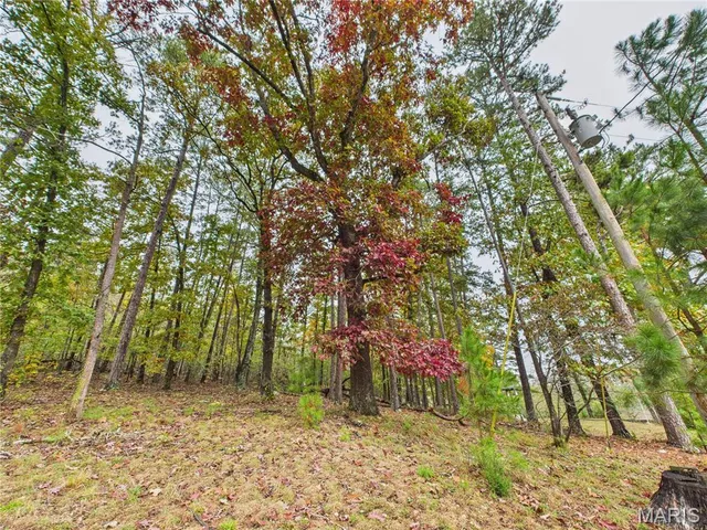 $150,000 | 1205 Cemetery Lane, Williamsville, MO 63967