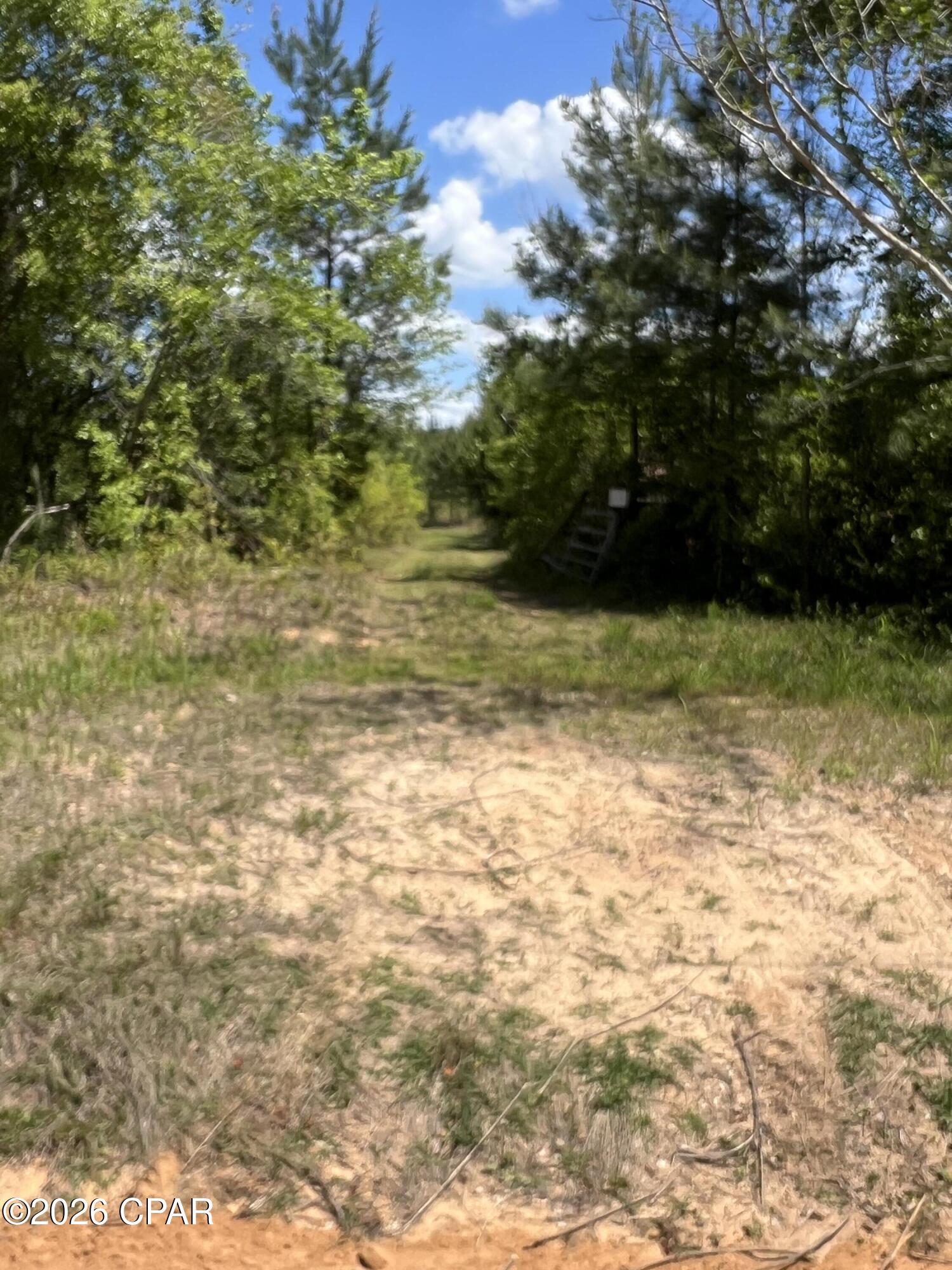 0 Goodman Hill Road Chipley, FL 32428 - Photo 8 of 9