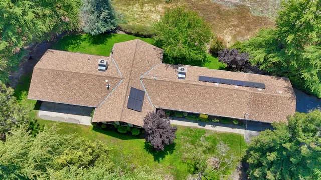 a view of a yard with plants and a large tree