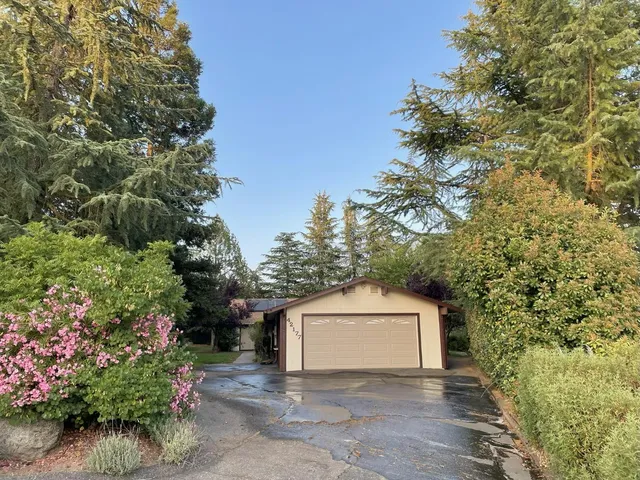 a view of a tiny house with a tree in the background