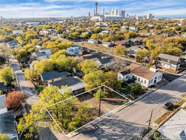 a view of a yard with plants and trees