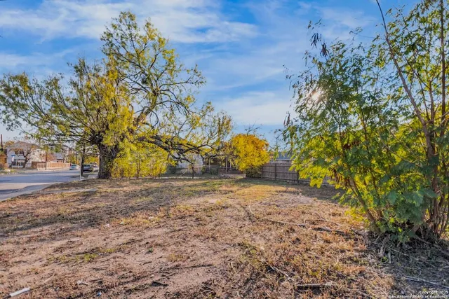 a view of a yard with a tree