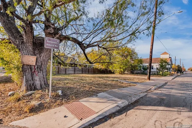 a view of a yard in front of a house