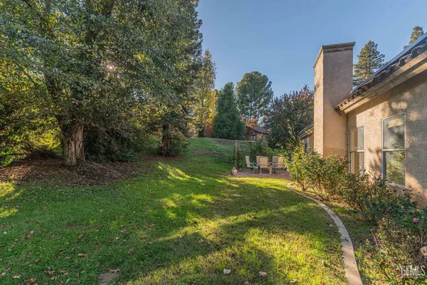 a view of a park with large trees