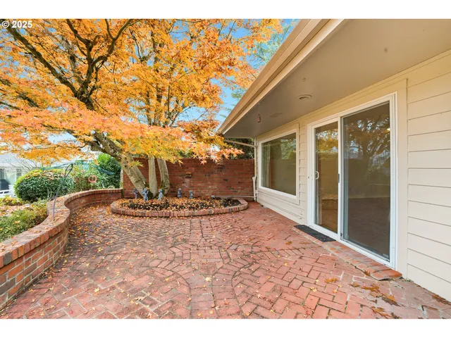 a view of a yard with an trees