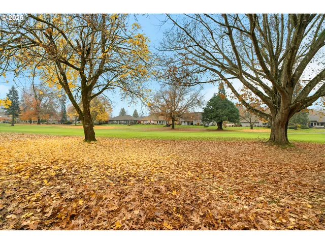 a view of a yard with a tree