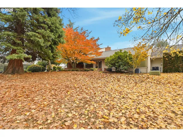 a view of a house with a tree in the background