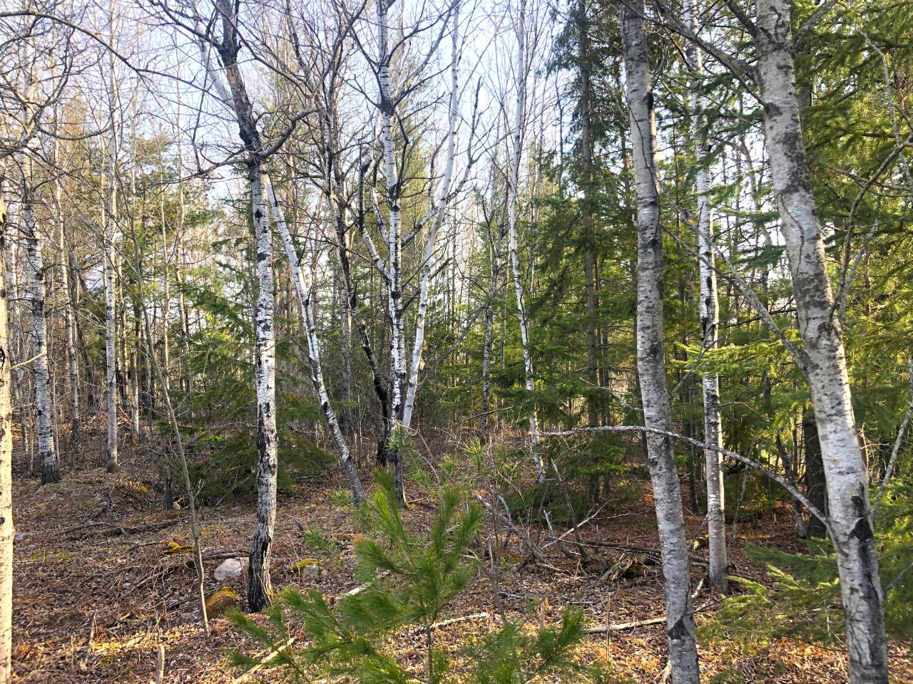 90-acres Balsam Street Rhinelander, WI 54501 - Photo 1 of 6 Gallery Image 1