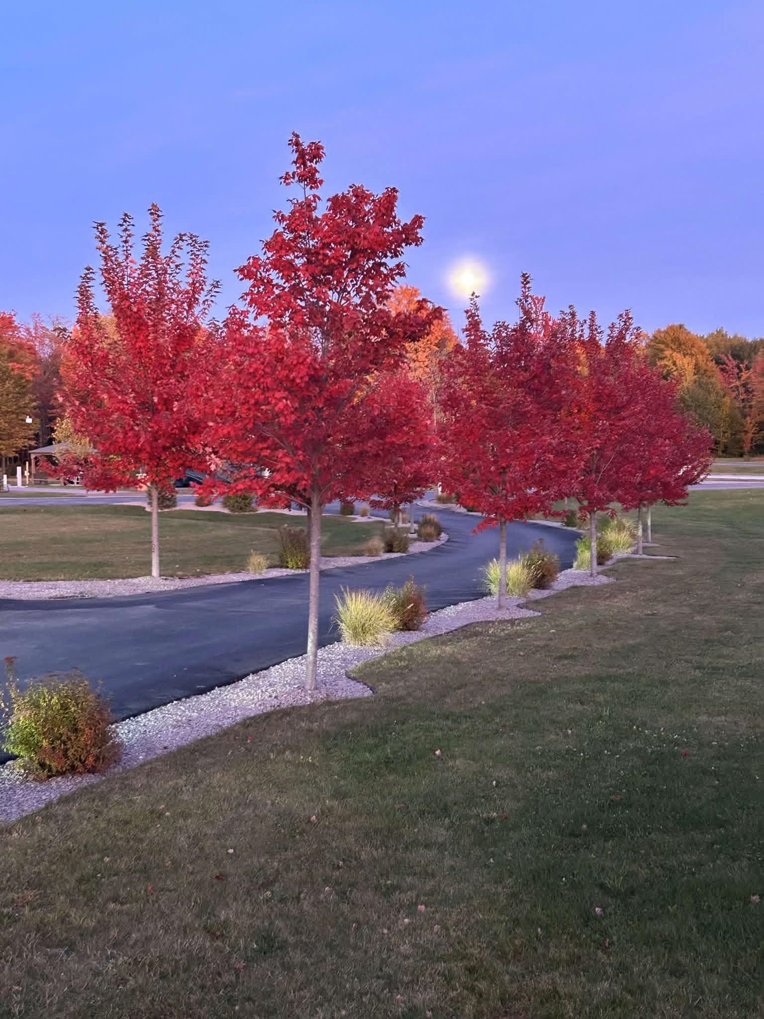6100 Larson Road, Unit LOT: LOT 12 South Boardman, MI 49680 - Photo 10 of 16