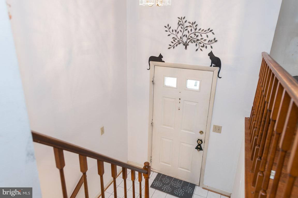 8482 Magic Tree Court Springfield, VA 22153 - Photo 30 of 34 Gallery Image 30