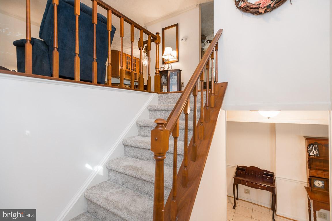 8482 Magic Tree Court Springfield, VA 22153 - Photo 6 of 34 New stairwell carpet