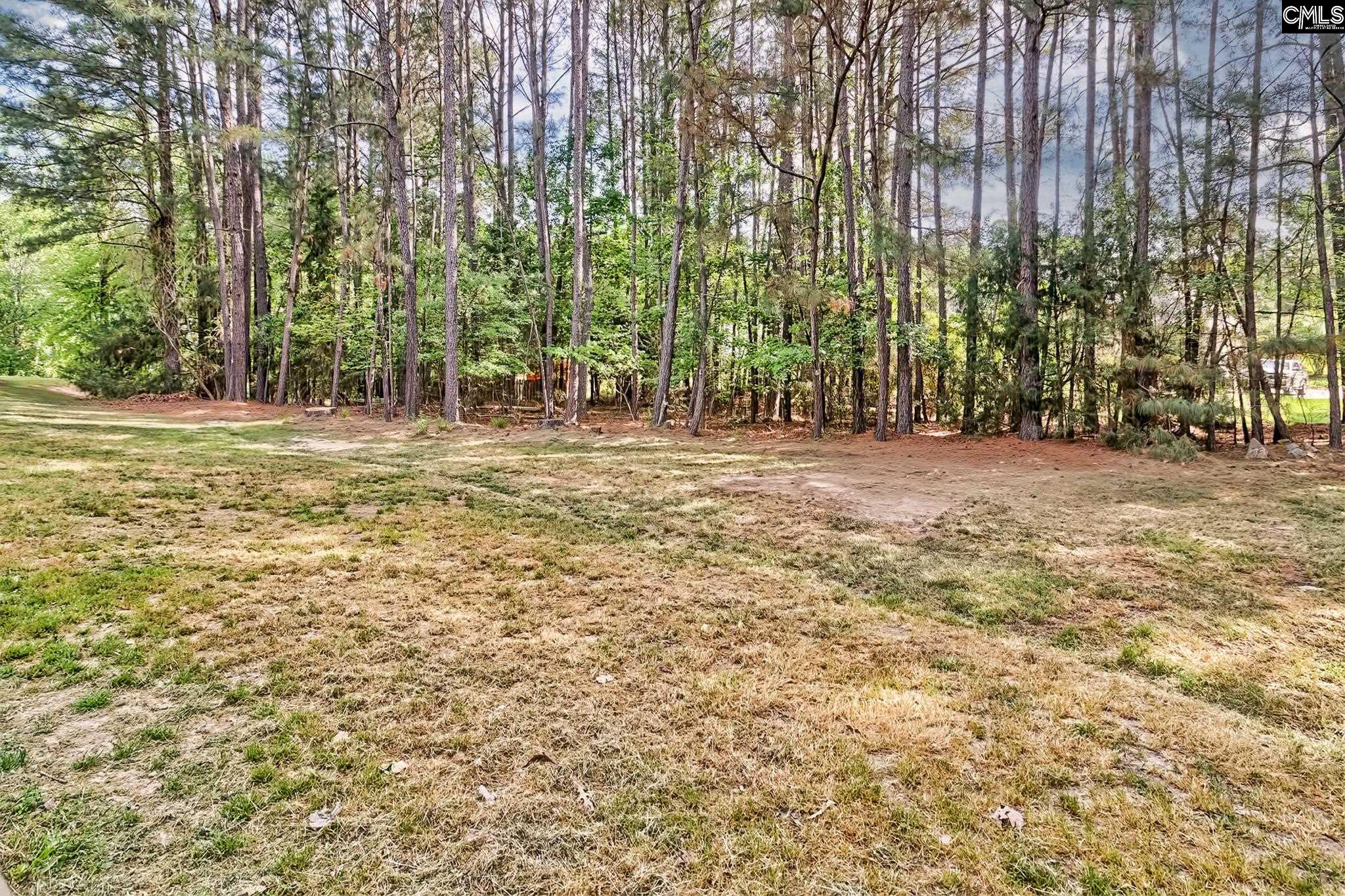 1338 Camping Road Gilbert, SC 29054 - Photo 26 of 30
