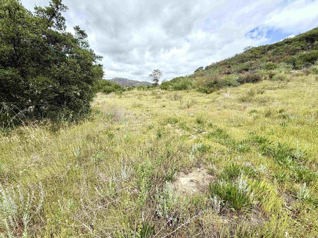 0 Mt Olympus Valley Road Fallbrook, CA 92028 - Photo 34 of 50